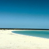 Der Roadtrip startet: Denham - Shark Bay, Australien, 14.10.2024