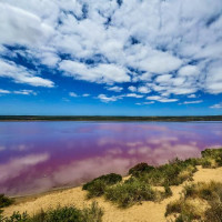 Der Roadtrip startet: Denham - Shark Bay, Australien, 14.10.2024