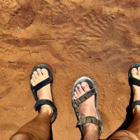 Die besondere Tierwelt von Monkey Mia: Denham, Australien, 17.10.2024