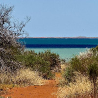 Die besondere Tierwelt von Monkey Mia: Denham, Australien, 17.10.2024