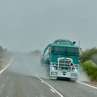 Die besondere Tierwelt von Monkey Mia: Denham, Australien, 17.10.2024