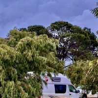 Die besondere Tierwelt von Monkey Mia: Denham, Australien, 17.10.2024