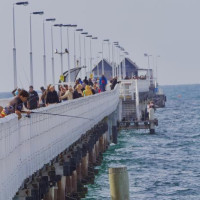 Rotto, Giants Of Mandurah & Busselton Jetty: Busselton, Australien, 20.10.2024