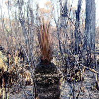 Magaret Region und eine versteinerte Welle: Valley, Australien, 23.10.2024