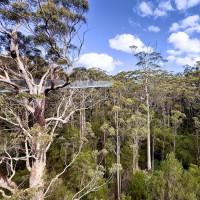 Magaret Region und eine versteinerte Welle: Valley, Australien, 23.10.2024