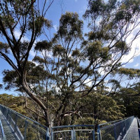 Magaret Region und eine versteinerte Welle: Valley, Australien, 23.10.2024