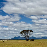 Magaret Region und eine versteinerte Welle: Valley, Australien, 23.10.2024