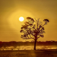 Magaret Region und eine versteinerte Welle: Valley, Australien, 23.10.2024