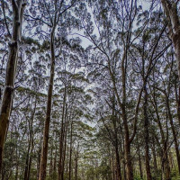 Magaret Region und eine versteinerte Welle: Valley, Australien, 23.10.2024