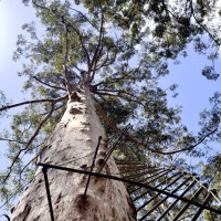 Magaret Region und eine versteinerte Welle: Valley, Australien, 23.10.2024