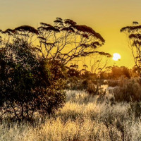 Traumhafte Strände, keine und große Buchten und viele Kilometer auf dem Asphalt: Elloston, Australien, 26.10.2024