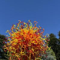 Hauptstadt von South Australia: Adelaide, Australien, 01.11.2024