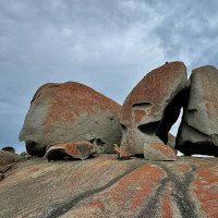 Kangaroo Island - 4 Tage: Pennneshaw, Australien, 06.11.2024