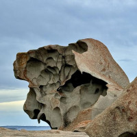 Kangaroo Island - 4 Tage: Pennneshaw, Australien, 06.11.2024