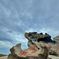 Kangaroo Island - 4 Tage: Pennneshaw, Australien, 06.11.2024