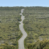 Kangaroo Island - 4 Tage: Pennneshaw, Australien, 06.11.2024