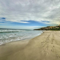 Kangaroo Island - 4 Tage: Pennneshaw, Australien, 06.11.2024