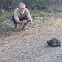 Mount Gambier, Halls Gap - Grampians NP, Great Ocean Road: Geelong, Australien, 10.11.2024