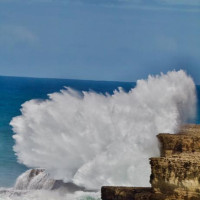 Mount Gambier, Halls Gap - Grampians NP, Great Ocean Road: Geelong, Australien, 10.11.2024