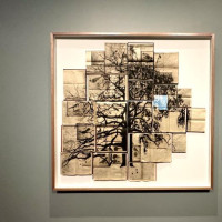 1,5 Tage in Melbourne: Mellbourne, Australien, 13.11.2024