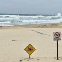 Küstenstraßen nach Sydney: Raymond Island, Australien, 16.11.2024