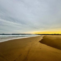 Küstenstraßen nach Sydney: Raymond Island, Australien, 16.11.2024