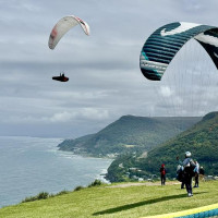 Küstenstraßen nach Sydney: Raymond Island, Australien, 16.11.2024