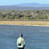 Küstenstraßen nach Sydney: Raymond Island, Australien, 16.11.2024