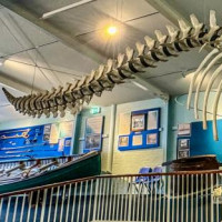 Küstenstraßen nach Sydney: Raymond Island, Australien, 16.11.2024