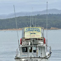 Küstenstraßen nach Sydney: Raymond Island, Australien, 16.11.2024