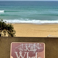 Küstenstraßen nach Sydney: Raymond Island, Australien, 16.11.2024