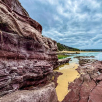 Küstenstraßen nach Sydney: Raymond Island, Australien, 16.11.2024