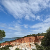 Küstenstraßen nach Sydney: Raymond Island, Australien, 16.11.2024