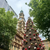 Sydney - mega City: Sydney, Australien, 24.11.2024