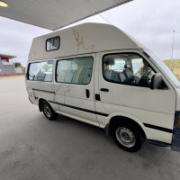 Christchurch, Pottwal und Delfine & unser Camper: Oamaru, Neuseeland, 28.11.2024