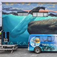 Christchurch, Pottwal und Delfine & unser Camper: Oamaru, Neuseeland, 28.11.2024