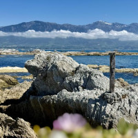 Christchurch, Pottwal und Delfine & unser Camper: Oamaru, Neuseeland, 28.11.2024