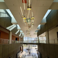 Christchurch, Pottwal und Delfine & unser Camper: Oamaru, Neuseeland, 28.11.2024