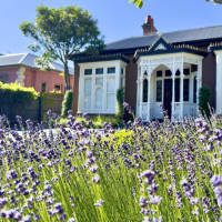 Christchurch, Pottwal und Delfine & unser Camper: Oamaru, Neuseeland, 28.11.2024