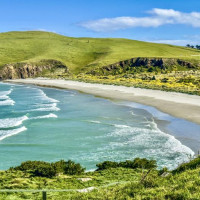 Entlang der Ostküste südwärts: Curio Bay, Neuseeland, 02.12.2024