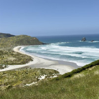 Entlang der Ostküste südwärts: Curio Bay, Neuseeland, 02.12.2024