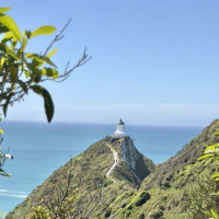 Entlang der Ostküste südwärts: Curio Bay, Neuseeland, 02.12.2024