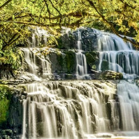 Entlang der Ostküste südwärts: Curio Bay, Neuseeland, 02.12.2024