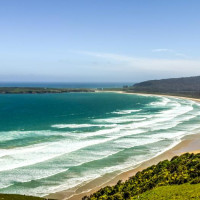 Entlang der Ostküste südwärts: Curio Bay, Neuseeland, 02.12.2024