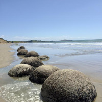 Entlang der Ostküste südwärts: Curio Bay, Neuseeland, 02.12.2024