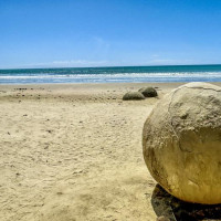 Entlang der Ostküste südwärts: Curio Bay, Neuseeland, 02.12.2024