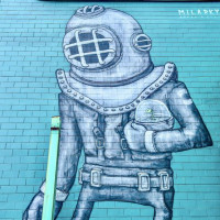 Entlang der Ostküste südwärts: Curio Bay, Neuseeland, 02.12.2024