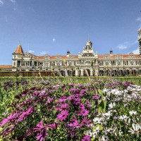 Entlang der Ostküste südwärts: Curio Bay, Neuseeland, 02.12.2024