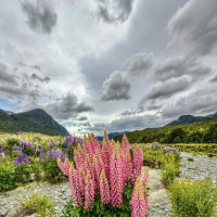 Fjordland, Actionhauptstadt, türkisblaue Gletscherseen und vieles mehr: Aoraki / Mount Cook, Neuseeland, 08.12.2024