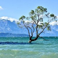 Wanaka, Haast Pass & West Coast: Westport, Neuseeland, 13.12.2024